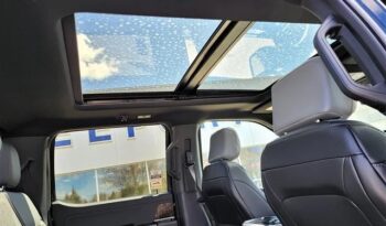 2023 FORD F150 LIGHTNING BLACK full
