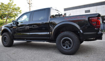 FORD F150 RAPTOR 37 PERFORMANCE PACKAGE full