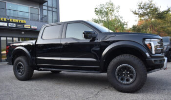 FORD F150 RAPTOR 37 PERFORMANCE PACKAGE full