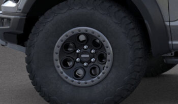 FORD F150 RAPTOR 37 카본그레이 full