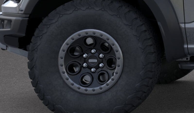 FORD F150 RAPTOR 37 카본그레이 full
