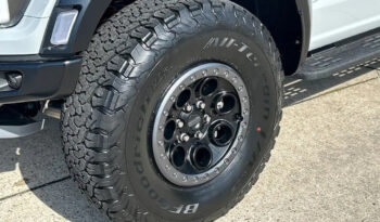FORD F150 RAPTOR 37 아발란체 full