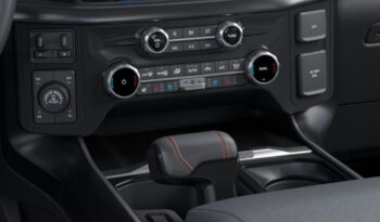 FORD F150 RAPTOR 37 카본그레이 full