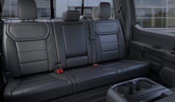 FORD F150 RAPTOR 37 카본그레이 full