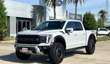 FORD F150 RAPTOR 37 아발란체 full