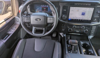 FORD F150 RAPTOR 37 카본그레이 full