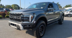FORD F150 RAPTOR 37 카본그레이