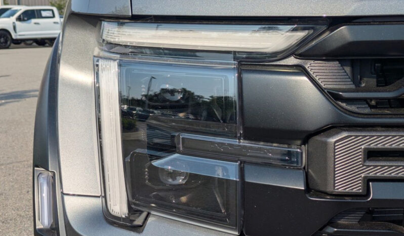 FORD F150 RAPTOR 37 카본그레이 full