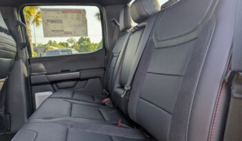 FORD F150 RAPTOR 37 카본그레이 full