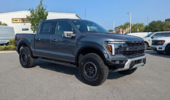 FORD F150 RAPTOR 37 카본그레이 full