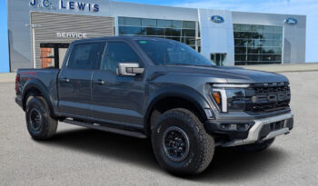 FORD F150 RAPTOR 37 카본그레이 full